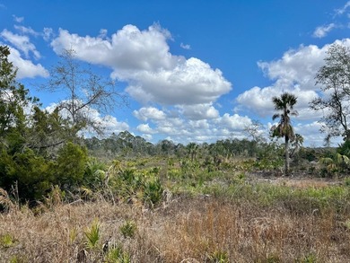 This exceptional 50-acre parcel presents a rare opportunity to - photo 10