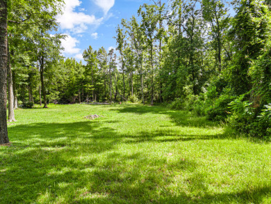 Buildable Northside Lot, Great fishing & duck hunting! - photo 4