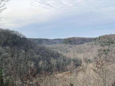 8. Acre Lake Cumberland View Building Lot - Lake Lot For Sale in Russell Springs, Kentucky