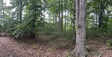 .8 Acre Lake Cumberland View Building Lot - photo 4