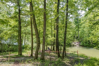 Are you looking for a private lake/water access home that is SOLD - photo 43