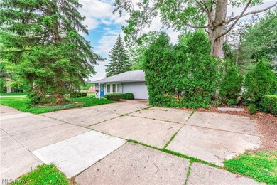 Wonderful Cape Cod home in the heart of Bay Village offers - photo 48