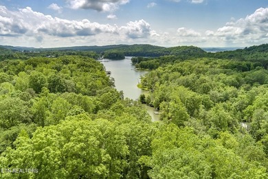 Are you looking for a private lake/water access home that is SOLD - photo 49