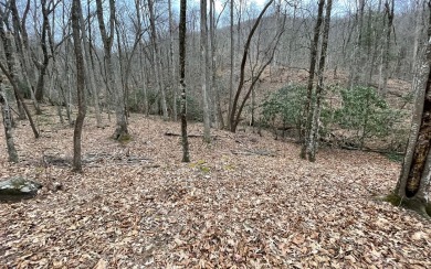 BEAUTIFULLY WOODED LOT IN UPSCALE SUBDIVISION IN THE MOUNTAINS - Lake Lot For Sale in Hayesville, North Carolina