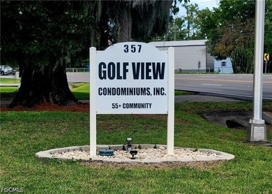 2 Bedroom Golfview condo in move-in condition and being sold - photo 3
