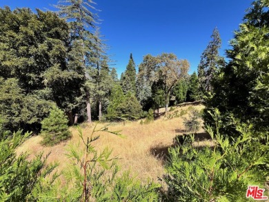 Lake Arrowhead Lot For Sale in Lake Arrowhead California