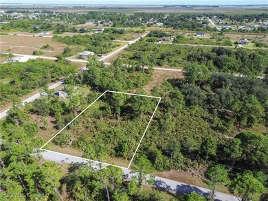 Lehigh Acres Area Lot For Sale in Lehigh Acres Florida