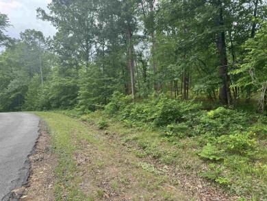 Lake Lot For Sale in Hot Springs, Arkansas