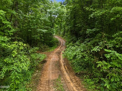 73 acres of fields and forest offering the freedom to build - photo 11
