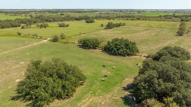 (private lake, pond, creek) Acreage For Sale in Dublin Texas