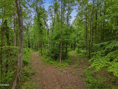 73 acres of fields and forest offering the freedom to build - photo 12