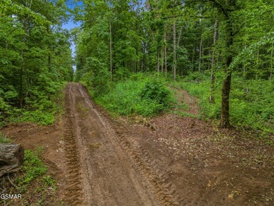 73 acres of fields and forest offering the freedom to build - photo 13