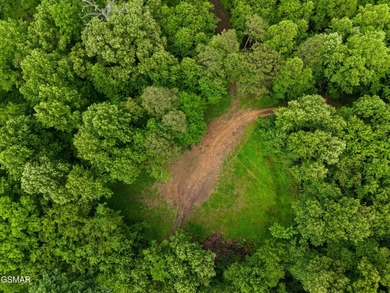 73 acres of fields and forest offering the freedom to build - photo 14