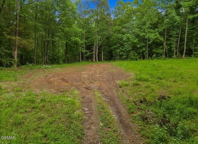73 acres of fields and forest offering the freedom to build - photo 15