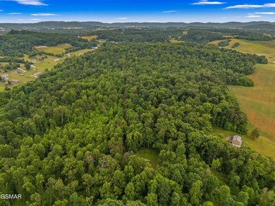 73 acres of fields and forest offering the freedom to build - photo 16