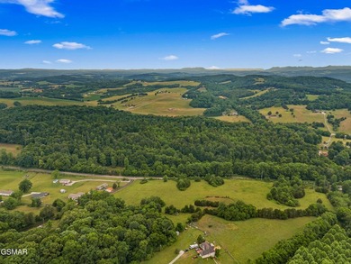 73 acres of fields and forest offering the freedom to build - photo 17