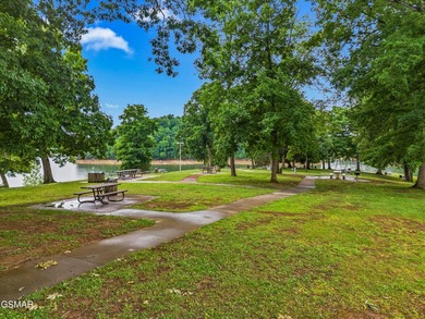 73 acres of fields and forest offering the freedom to build - photo 23