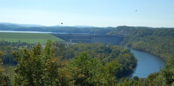 Lake Cumberland Acreage For Sale in Jamestown Kentucky