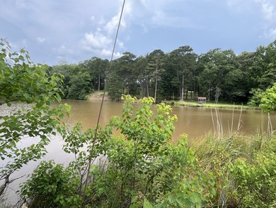 Nestled in the peaceful countryside of Meridian, MS, this - photo 3