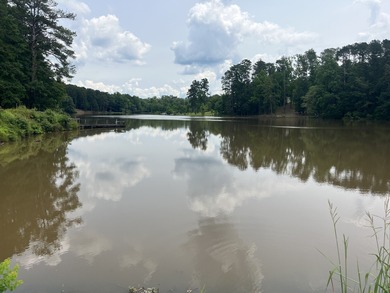 Nestled in the peaceful countryside of Meridian, MS, this - photo 4