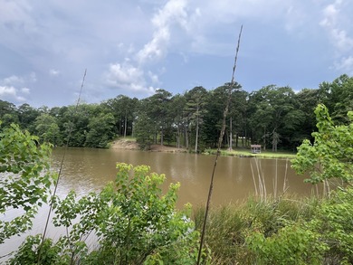 Nestled in the peaceful countryside of Meridian, MS, this - photo 7
