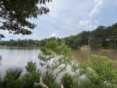 Nestled in the peaceful countryside of Meridian, MS, this - photo 8
