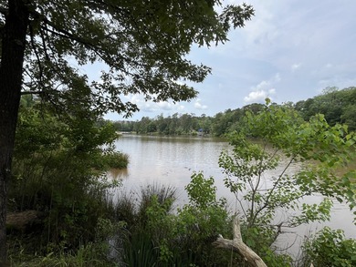 Nestled in the peaceful countryside of Meridian, MS, this - photo 9