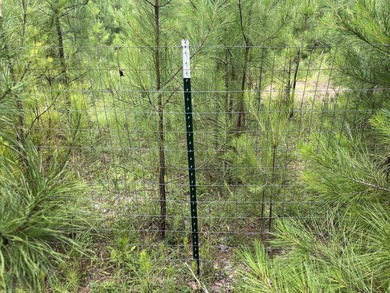 Nestled in the peaceful countryside of Meridian, MS, this - photo 10