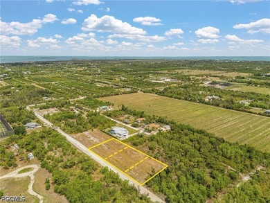 Need room to spread out! Cleared 1/2 acre lot with two adjacent - photo 6
