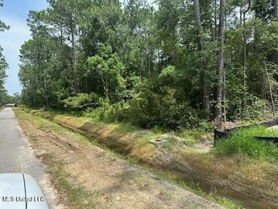 Newly paved street with water and sewer. X FLOOD ZONE . You can - photo 1