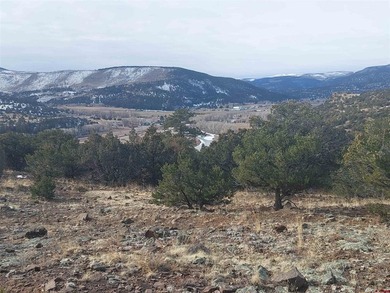 South Fork Rio Grande River Lot For Sale in South Fork Colorado