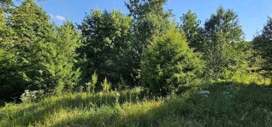Freedom Lake  Acreage For Sale in Dunlap Tennessee