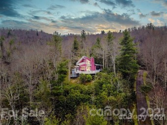 (private lake) Home For Sale in Zirconia North Carolina