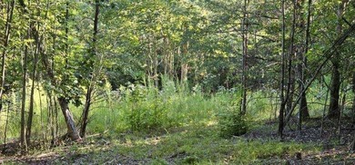 BEAUTIFUL VISTAS AWAIT! This 3.96 acre lot/homesite has - photo 2