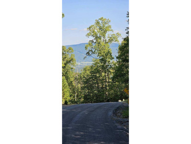 BEAUTIFUL VISTAS AWAIT! This 3.96 acre lot/homesite has - photo 3