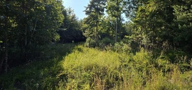 BEAUTIFUL VISTAS AWAIT! This 3.96 acre lot/homesite has - photo 4