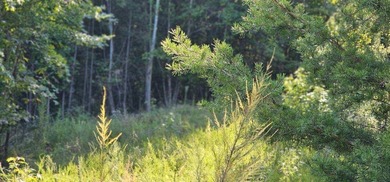 BEAUTIFUL VISTAS AWAIT! This 3.96 acre lot/homesite has - photo 5