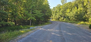 BEAUTIFUL VISTAS AWAIT! This 3.96 acre lot/homesite has - photo 6