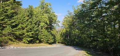 BEAUTIFUL VISTAS AWAIT! This 3.96 acre lot/homesite has - photo 7