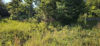 BEAUTIFUL VISTAS AWAIT! This 3.96 acre lot/homesite has - photo 8