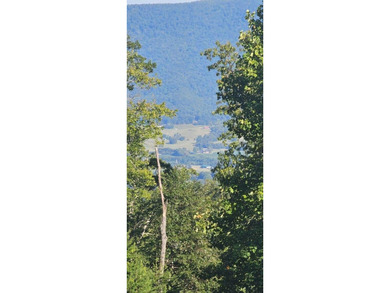 BEAUTIFUL VISTAS AWAIT! This 3.96 acre lot/homesite has - photo 9