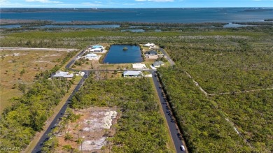 Lake Lot For Sale in Other, Florida