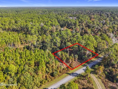 Lake George Lot Sale Pending in Georgetown Florida