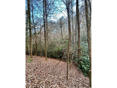 Lake Hiwassee Acreage For Sale in Murphy North Carolina