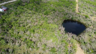 (private lake, pond, creek) Lot For Sale in Lockhart Texas