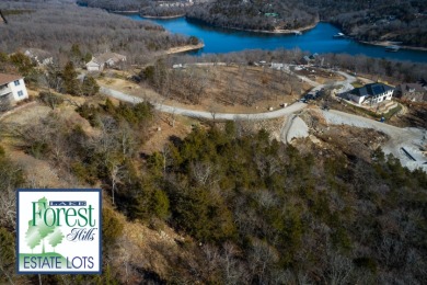 Lakefront Lot - photo 12