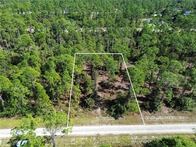 Lehigh Acres Area Lot For Sale in Lehigh Acres Florida