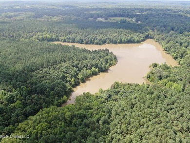 A prime investment opportunity with approximately 205 acres of - photo 7