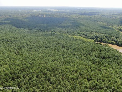 A prime investment opportunity with approximately 205 acres of - photo 8