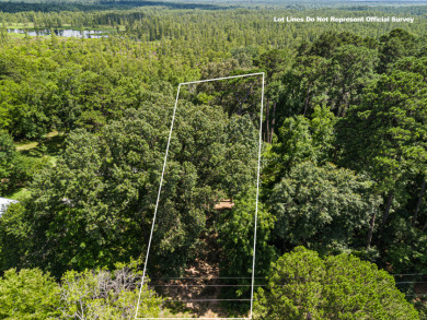Buildable Northside Lot, Great fishing & duck hunting! - photo 10